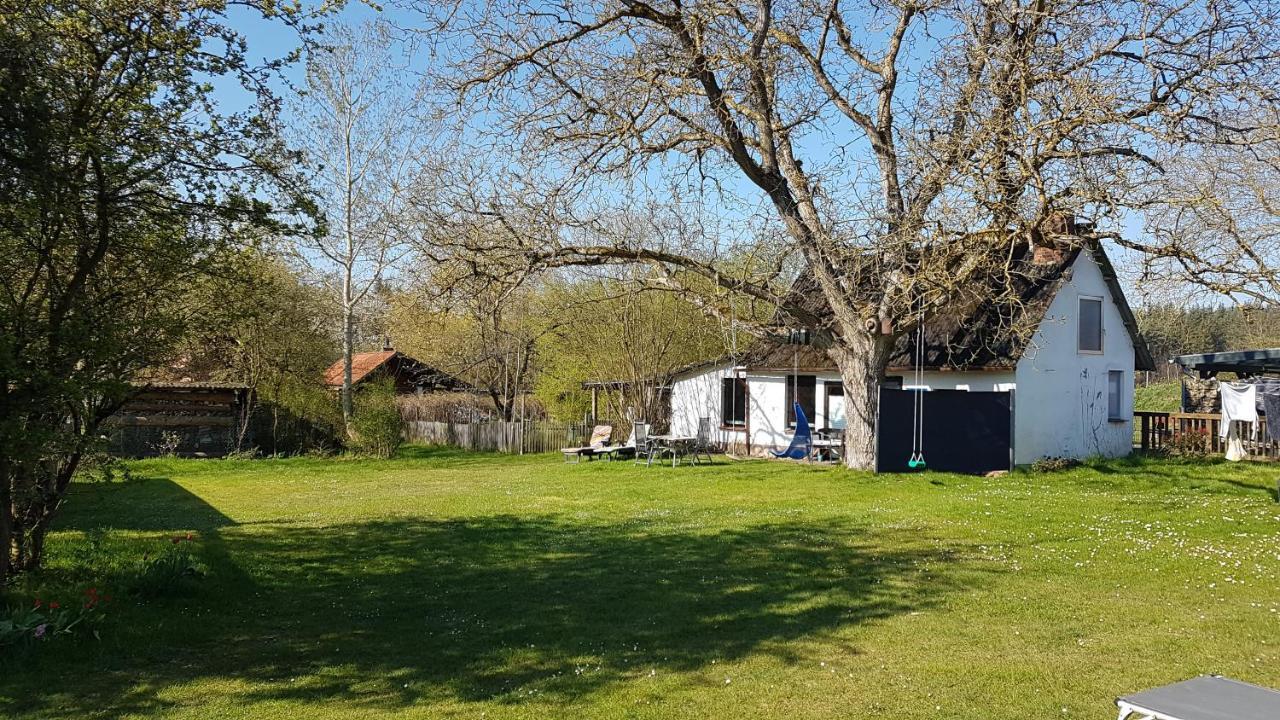 Ferienhaus Kunterbunt II Hitzacker Exterior foto